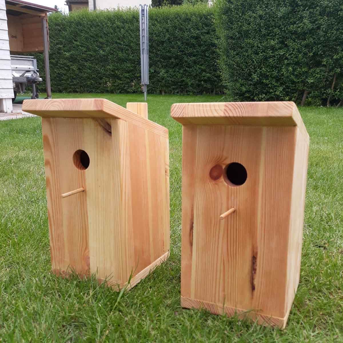 Geöltes Vogelhaus